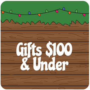 Gifts Under 100