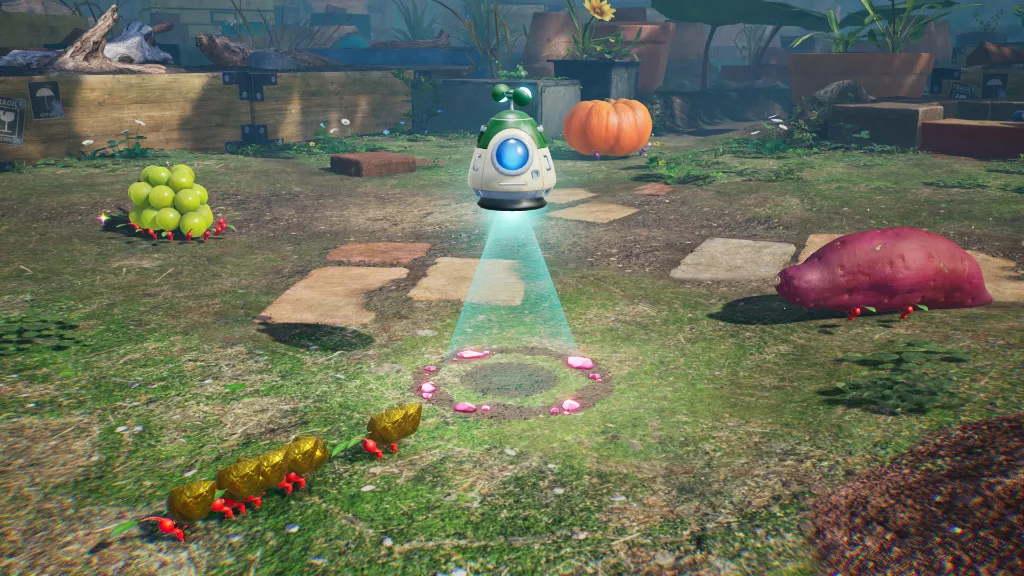Pikmin 4 – Nintendo Switch 2 Edition + Dandori Academyy
