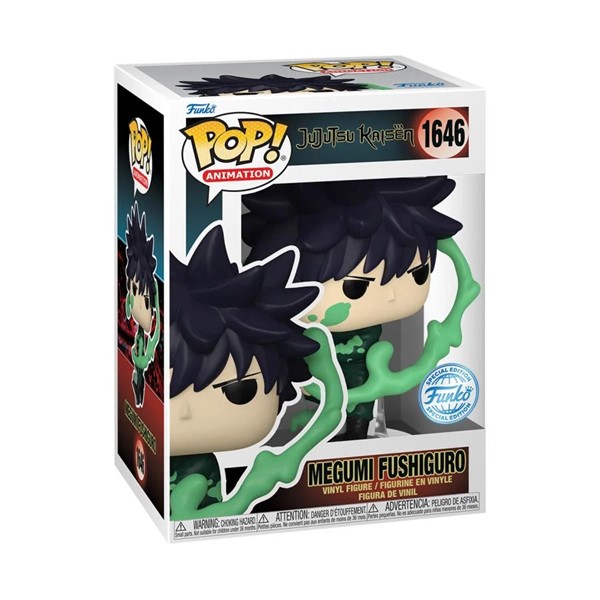 POP! Jujutsu Kaisen Megumi Fushiguro (Painting)