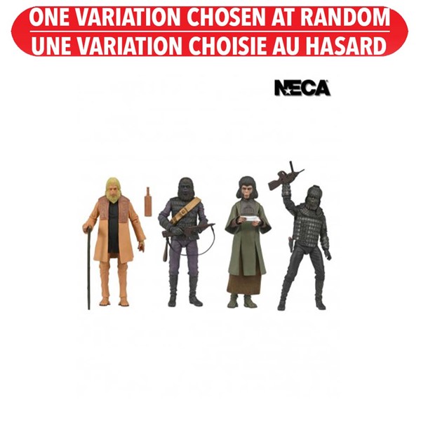 Planet of the Apes - 7 In Scale Action Figure - Legacy Series Assortie