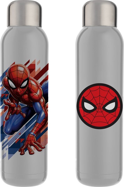 Bouteille d'eau en acier inoxydable Spider-Man