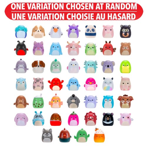 Squishmallows: Squish-a-long Surprise - Pack