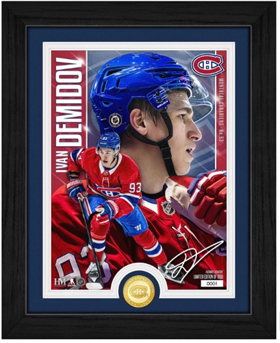 Ivan Demidov Montreal Canadiens Bronze Coin Artist Proof Photo Mint