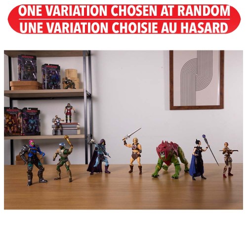 Masters of the Universe Chronicles Action Figure Assortie