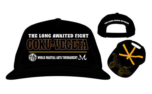 Dragon Ball Z: affiche de combat de Vegeta Snapback