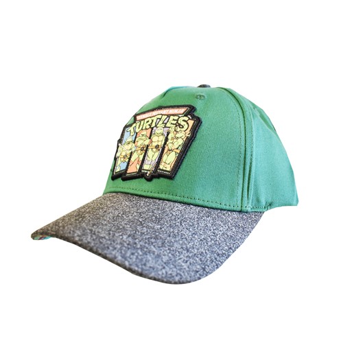 Teenage Mutant Ninja Turtles Kids Grey Green Hat