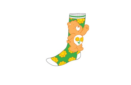 Care Bears Friends Flowers Socks