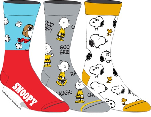 Peanuts: Snoopy and Charlie Brown 3 - Pack Sock
