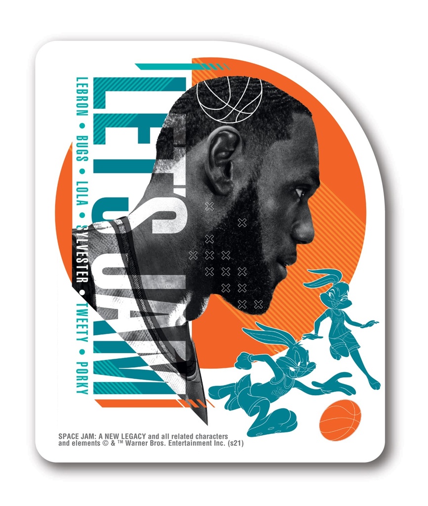 Space Jam Lebron James Magnet