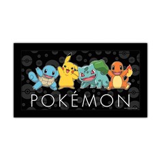 Pokemon 10x18 Gel Framed Art